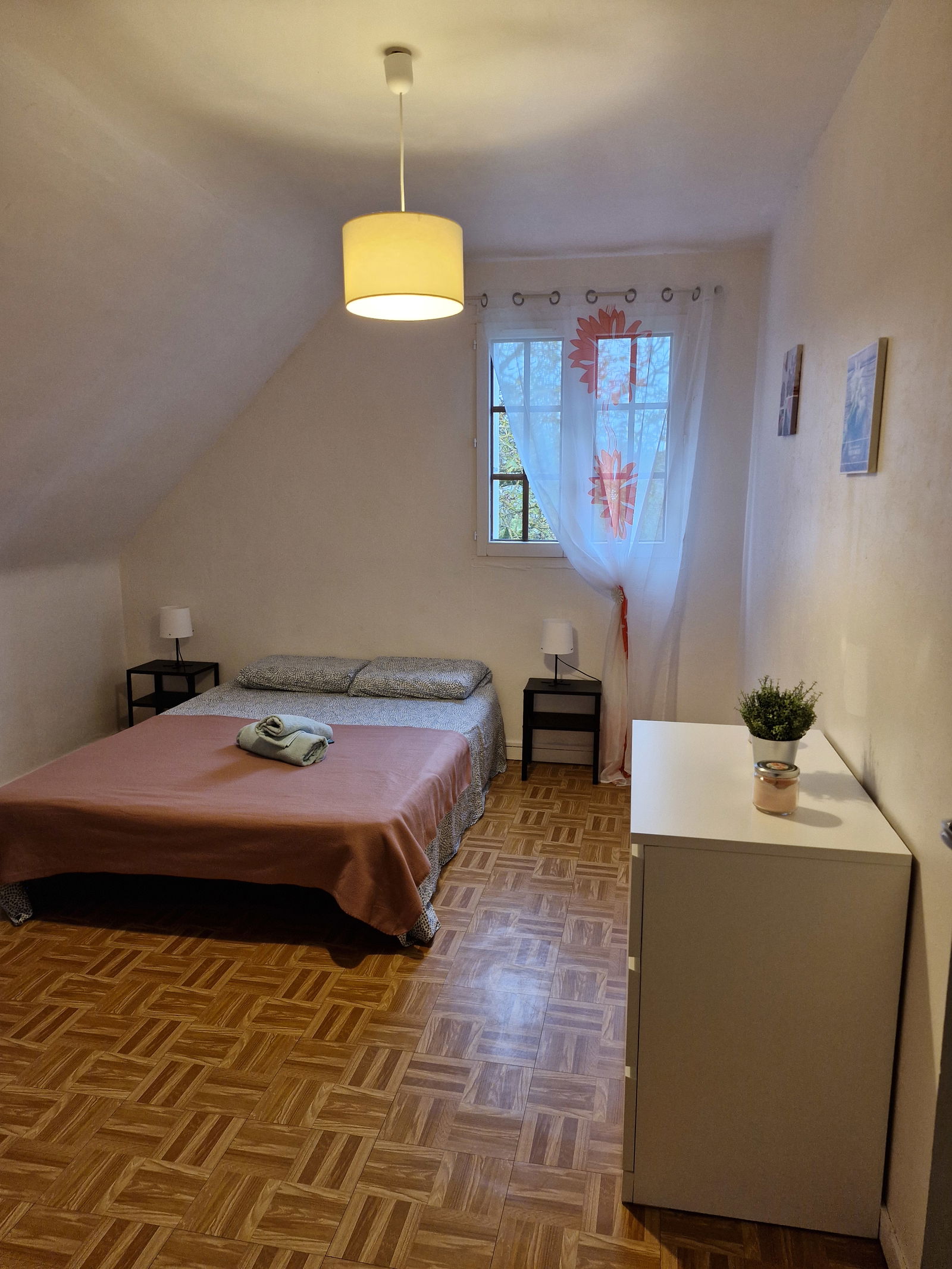 Colocation Semblançay 444946