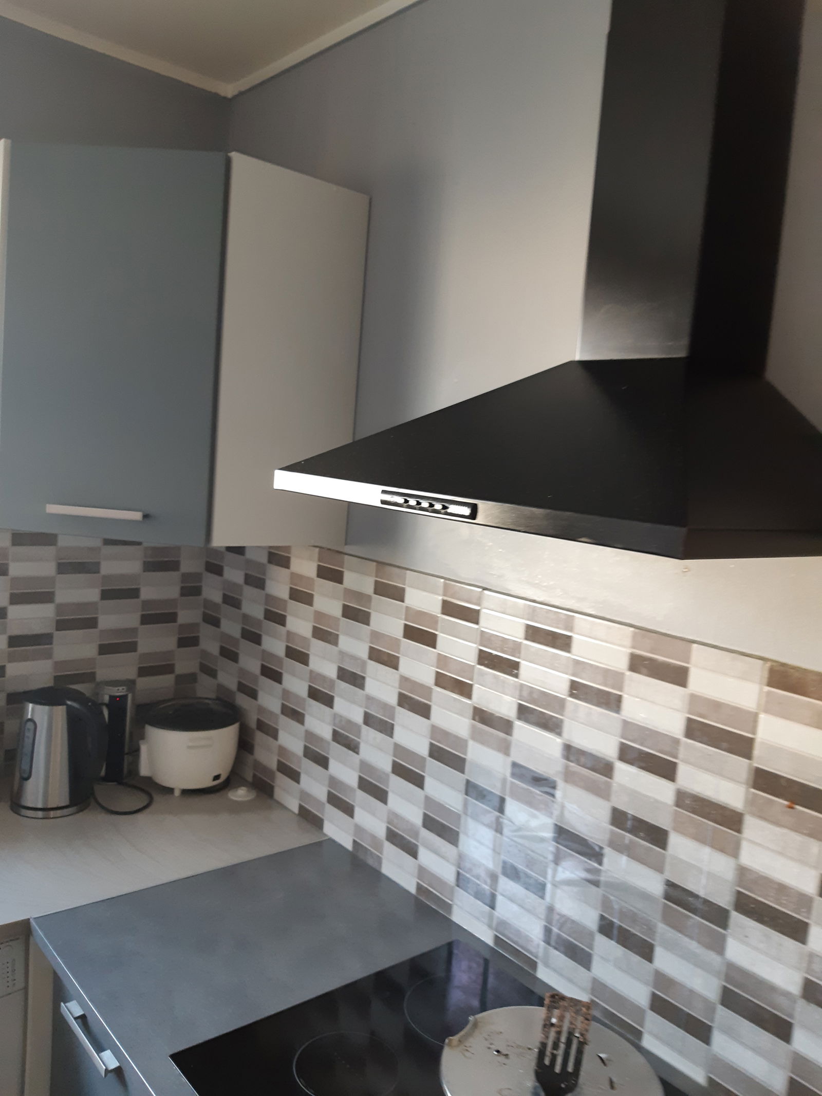 Colocation L'Haÿ-les-Roses 248263