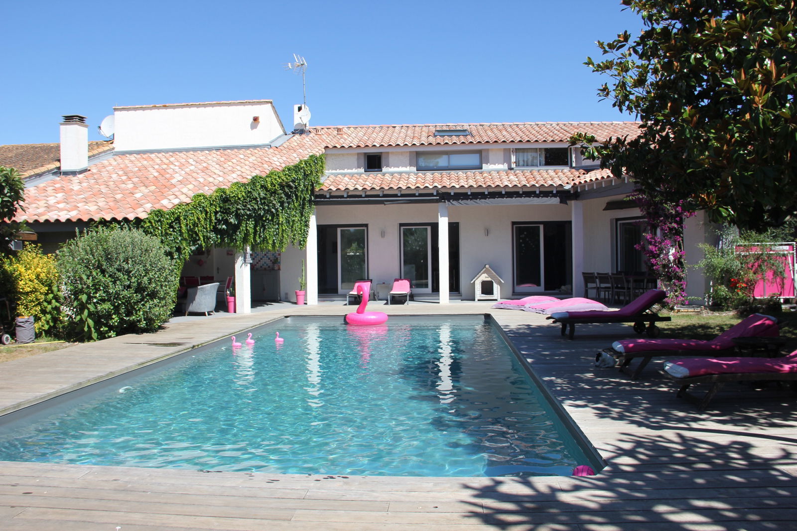 Homestay La Grande-Motte 119609