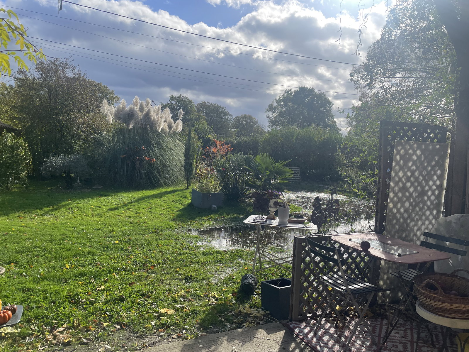 Homestay Saint-Nizier-le-Bouchoux 62066