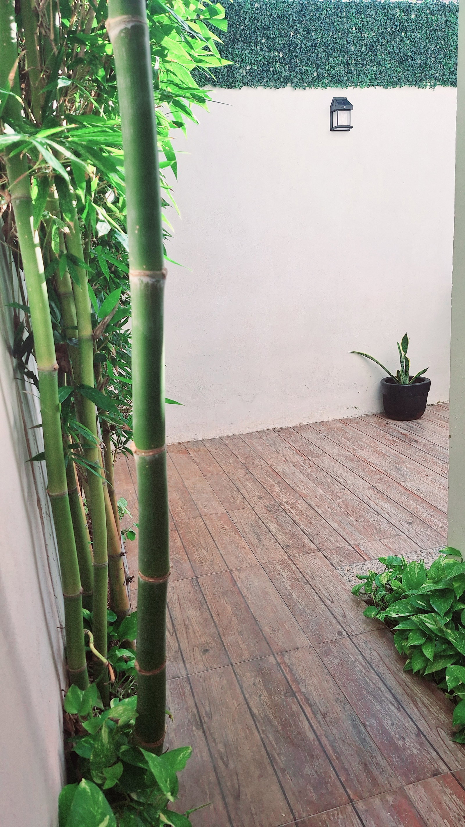 Ganz Haus Cancún 530678