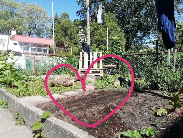 Homestay Montréal 254869
