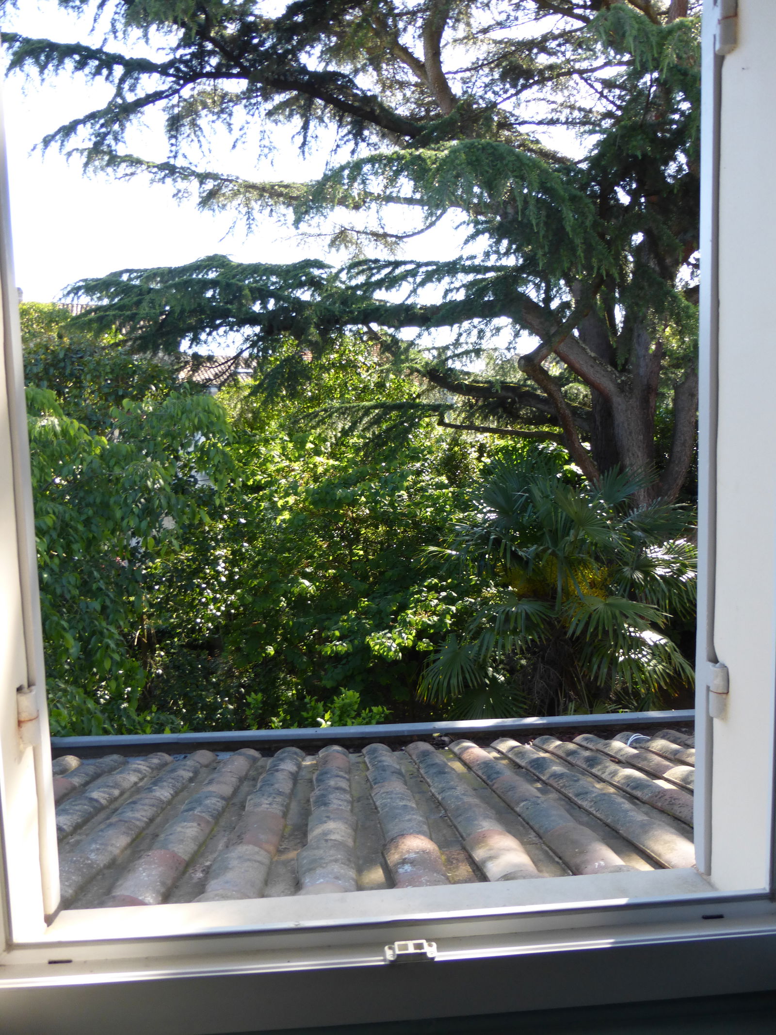 Homestay Bordeaux 101182