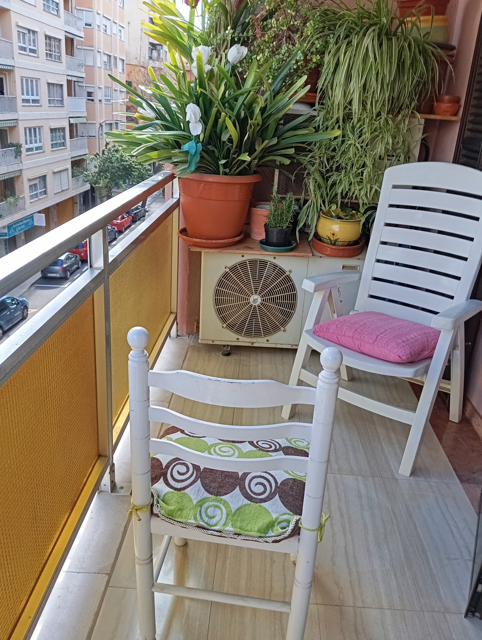 Homestay Palma 515797