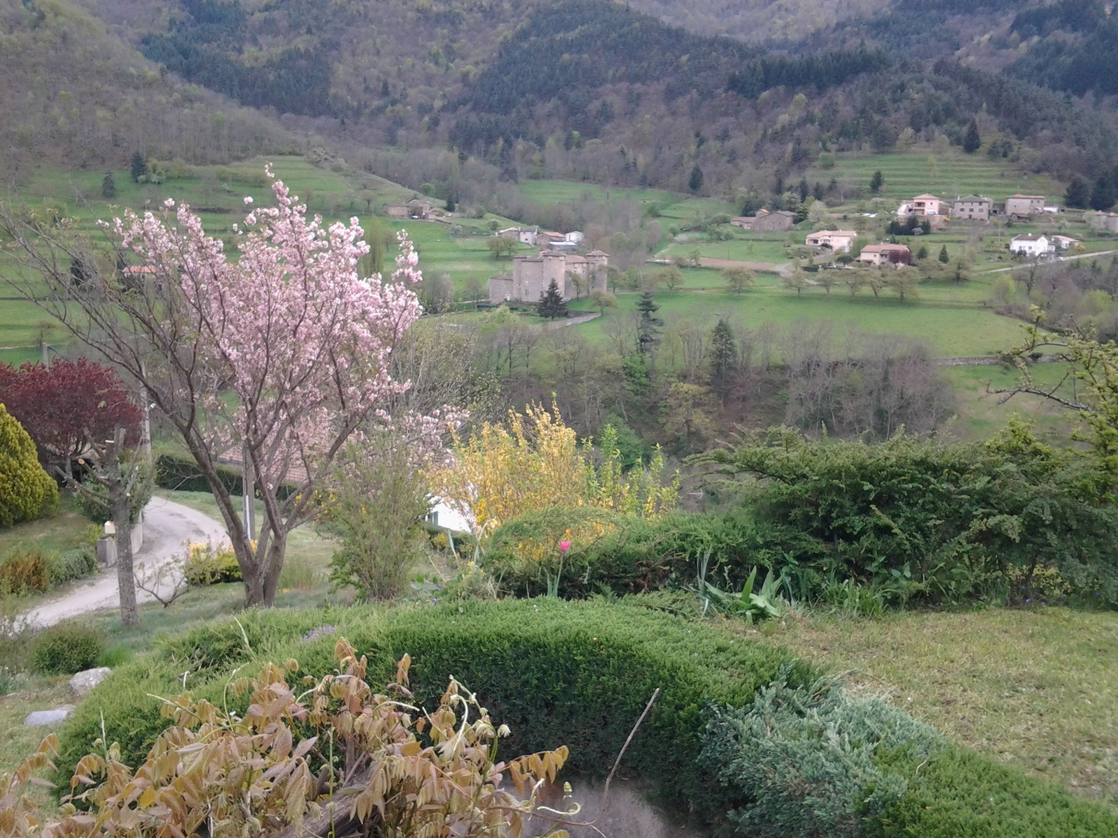 Homestay Accons 663370