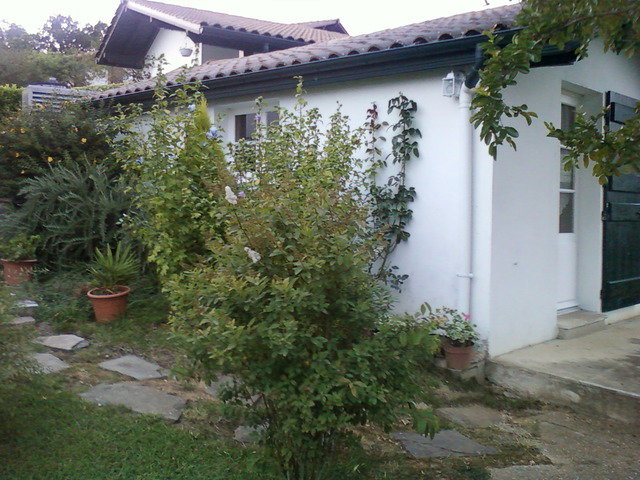 Gaascht Zëmmeren Sare 4868