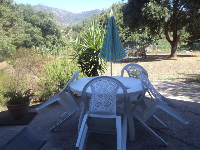 Homestay Oletta 19202