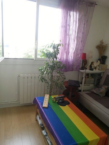 Homestay Paris 25195