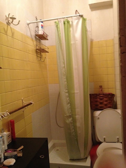 Colocation Paris 65681