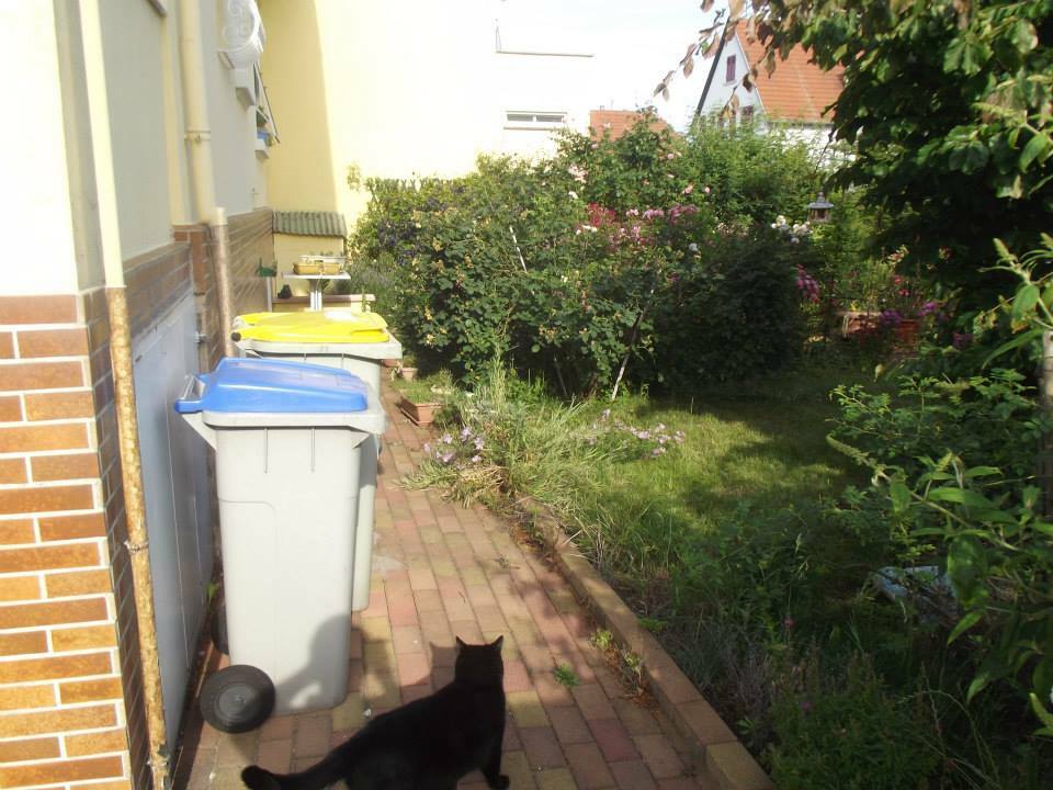 Homestay Hœnheim 66188