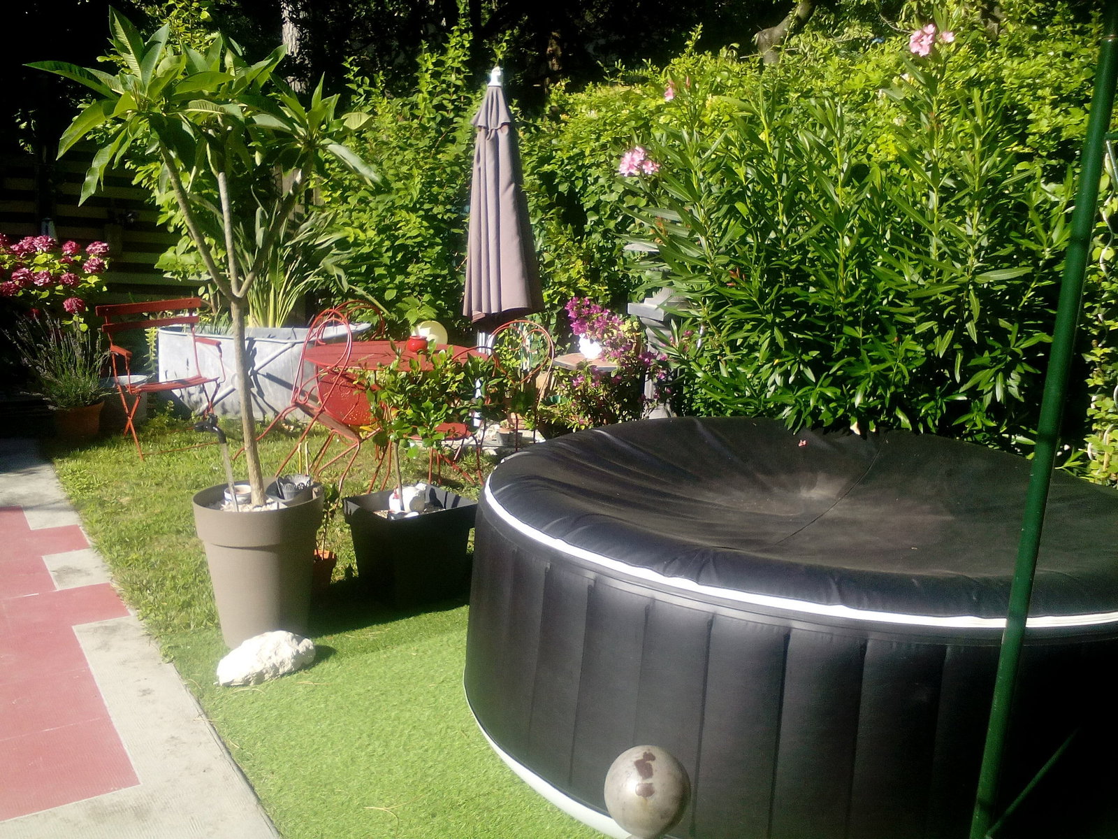 Homestay Avignon 70379