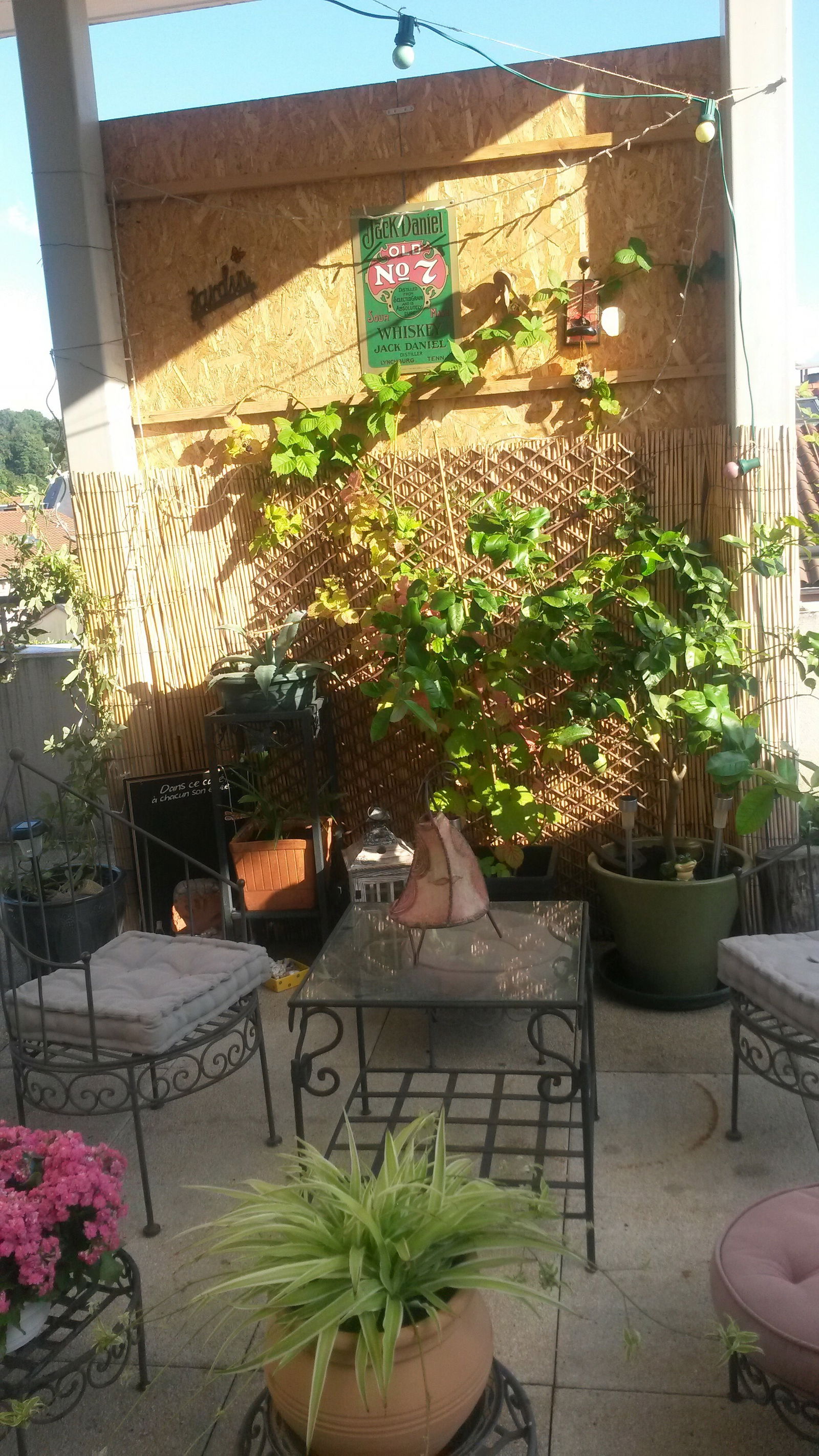 Homestay Lyon 81868