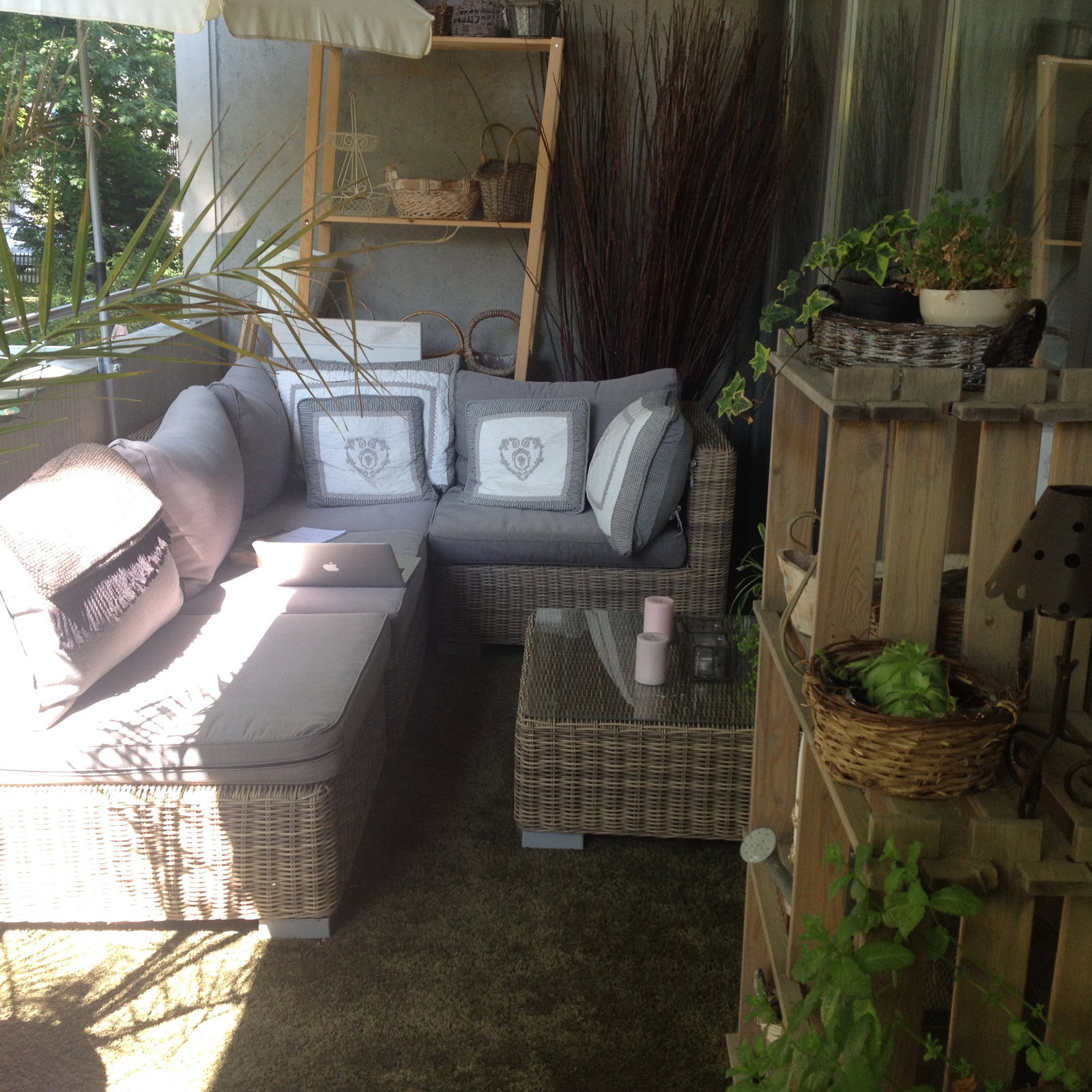 Homestay Versoix 105568