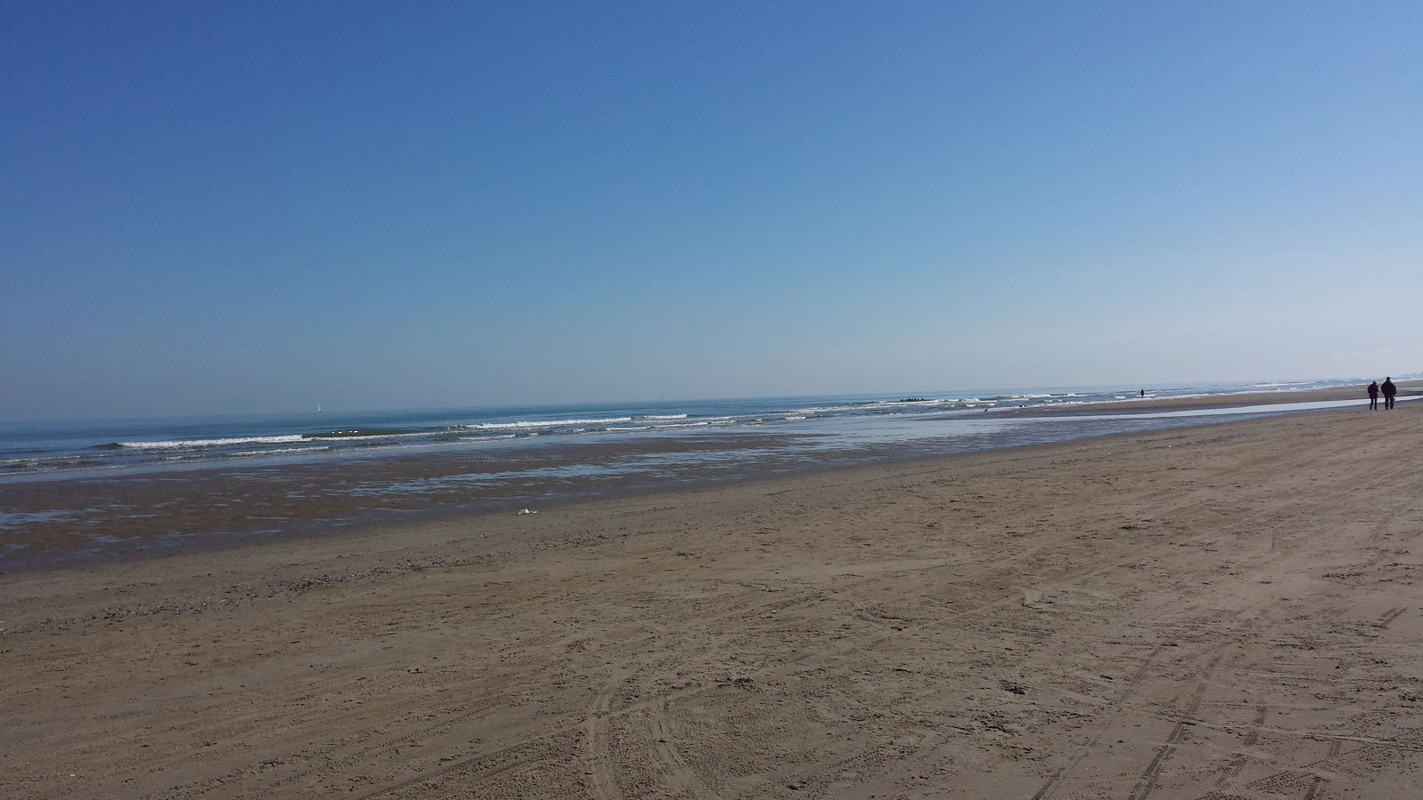 Colocation Dunkerque 112049