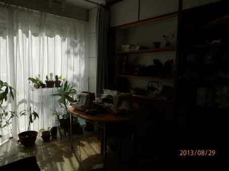 Homestay Paris 128534