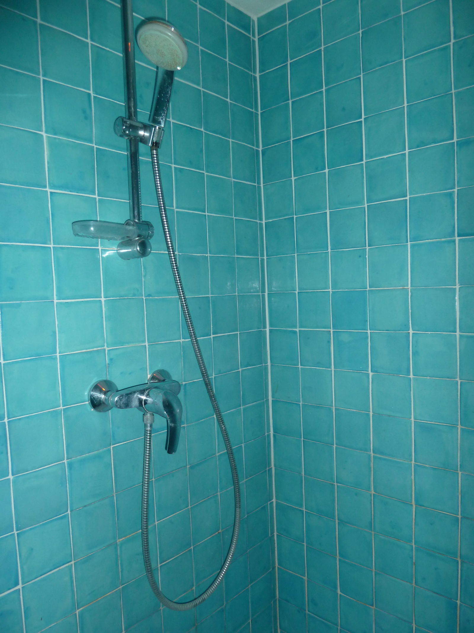 Homestay Lyon 144849