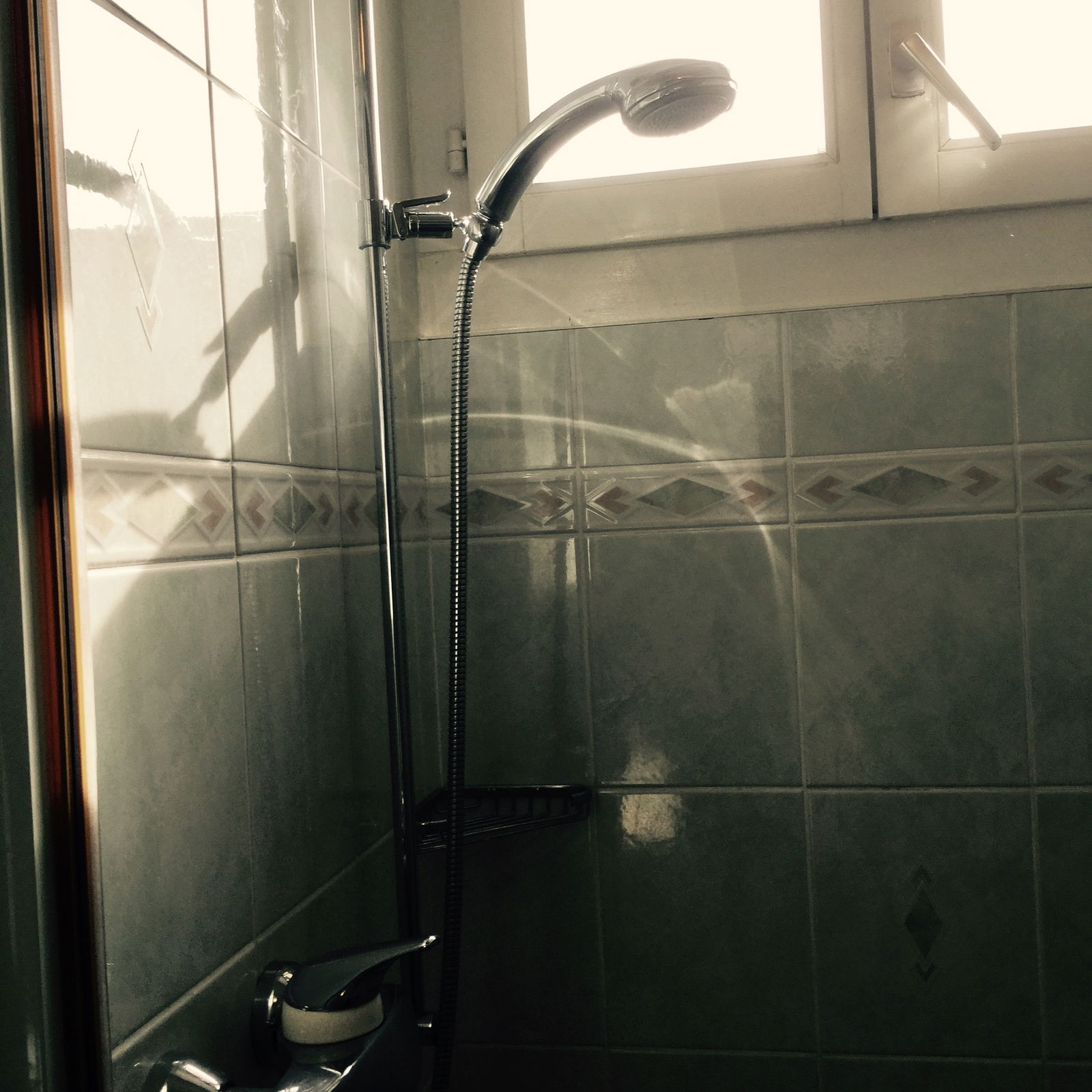 Homestay Meyrin 245137