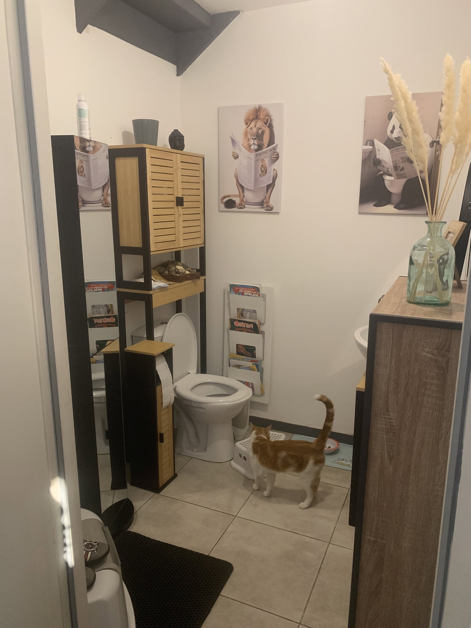 Homestay Plaisance-du-Touch 256029