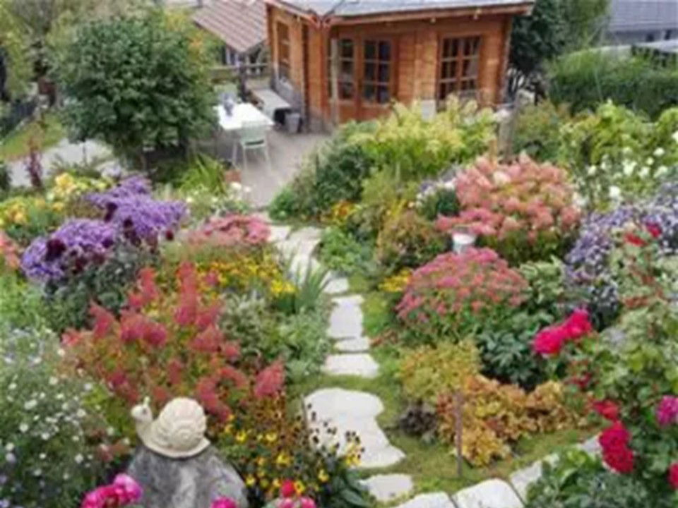Homestay Nendaz 399760