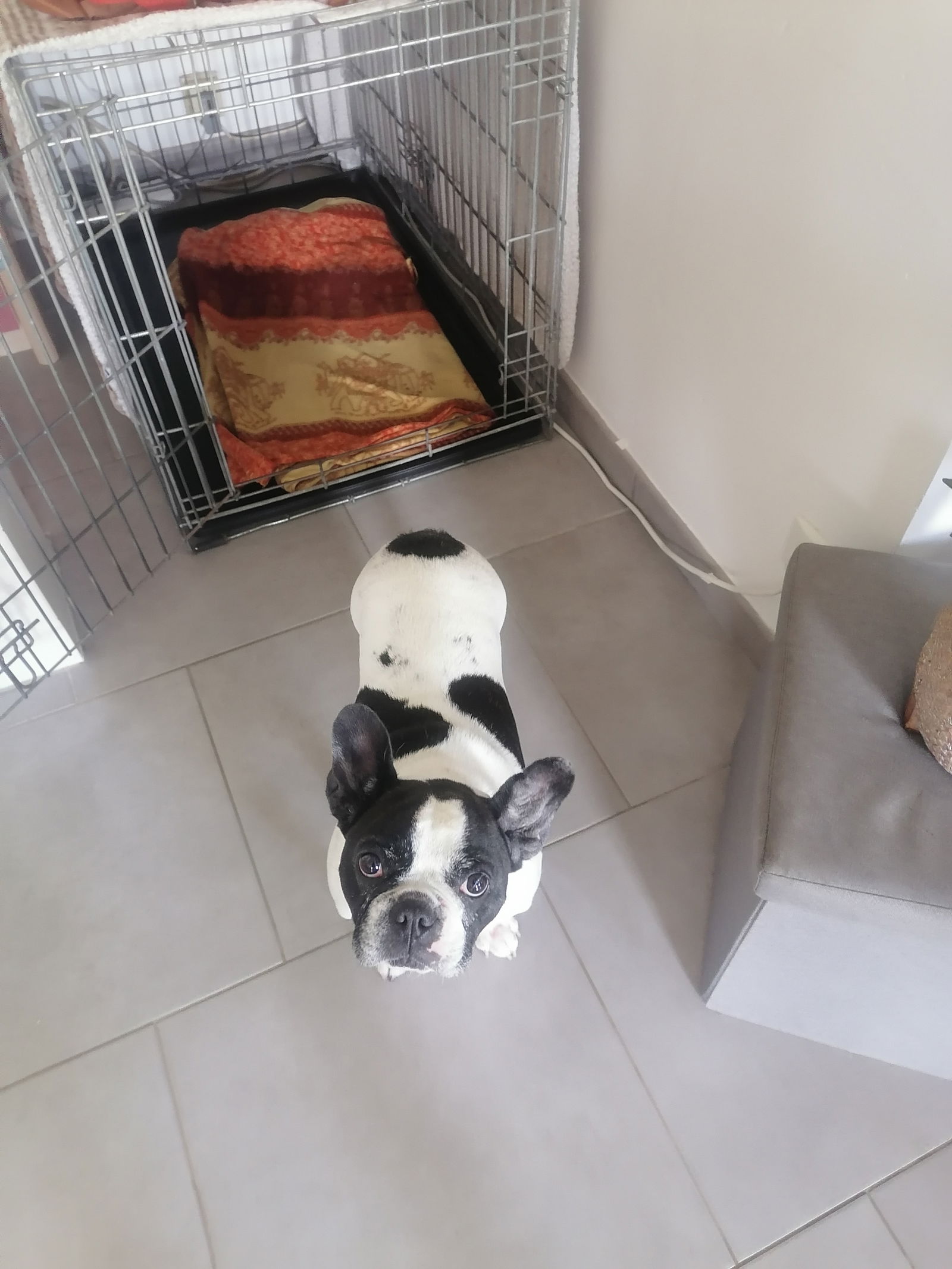 Homestay Plœuc-L'Hermitage 414241