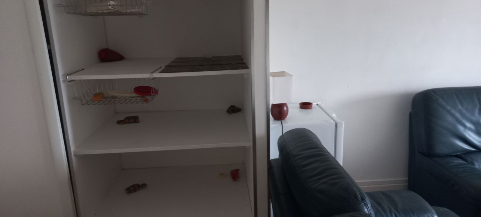 Homestay Sourcieux-les-Mines 431137