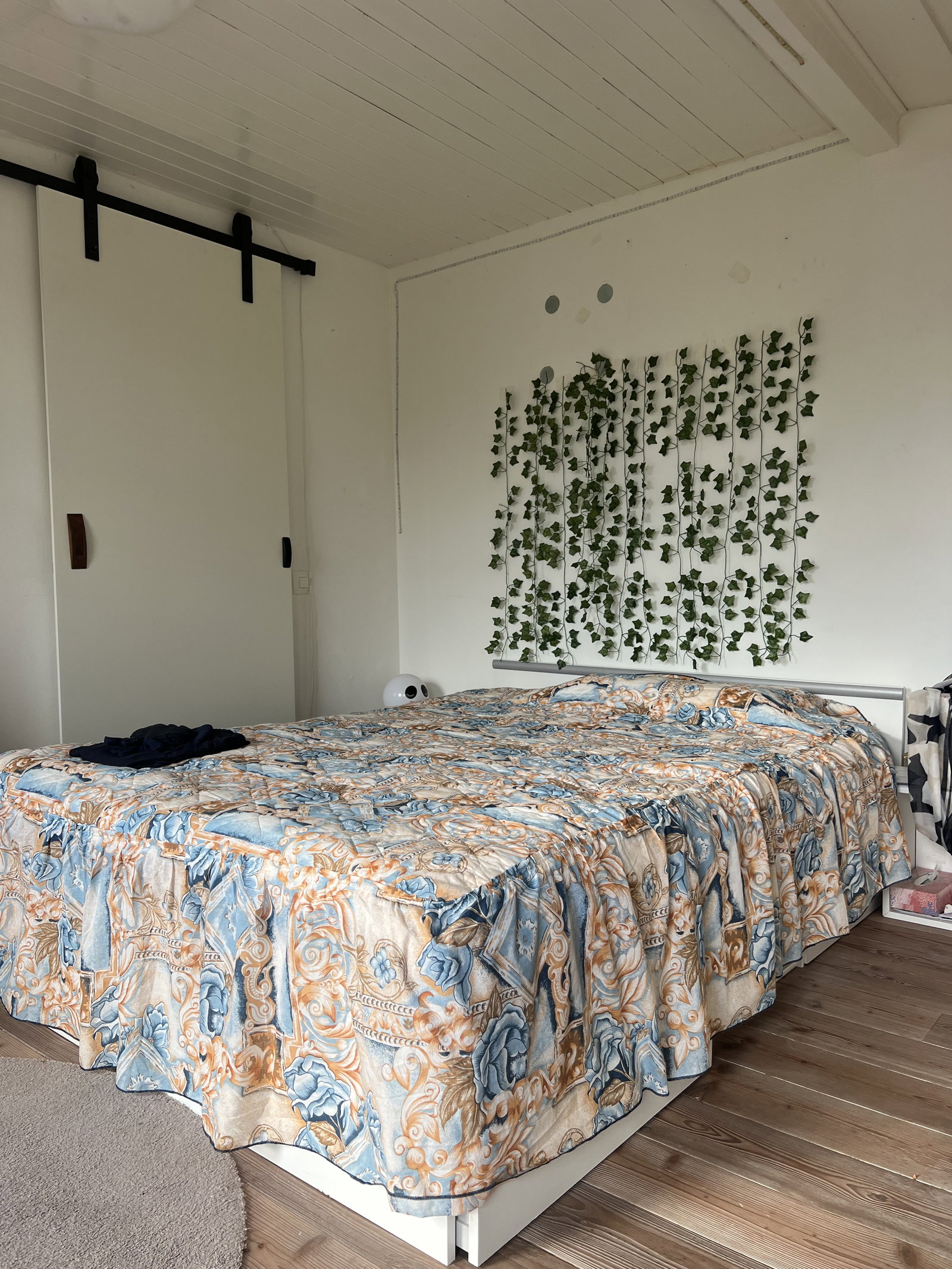 Colocation Jorat-Mézières 443123