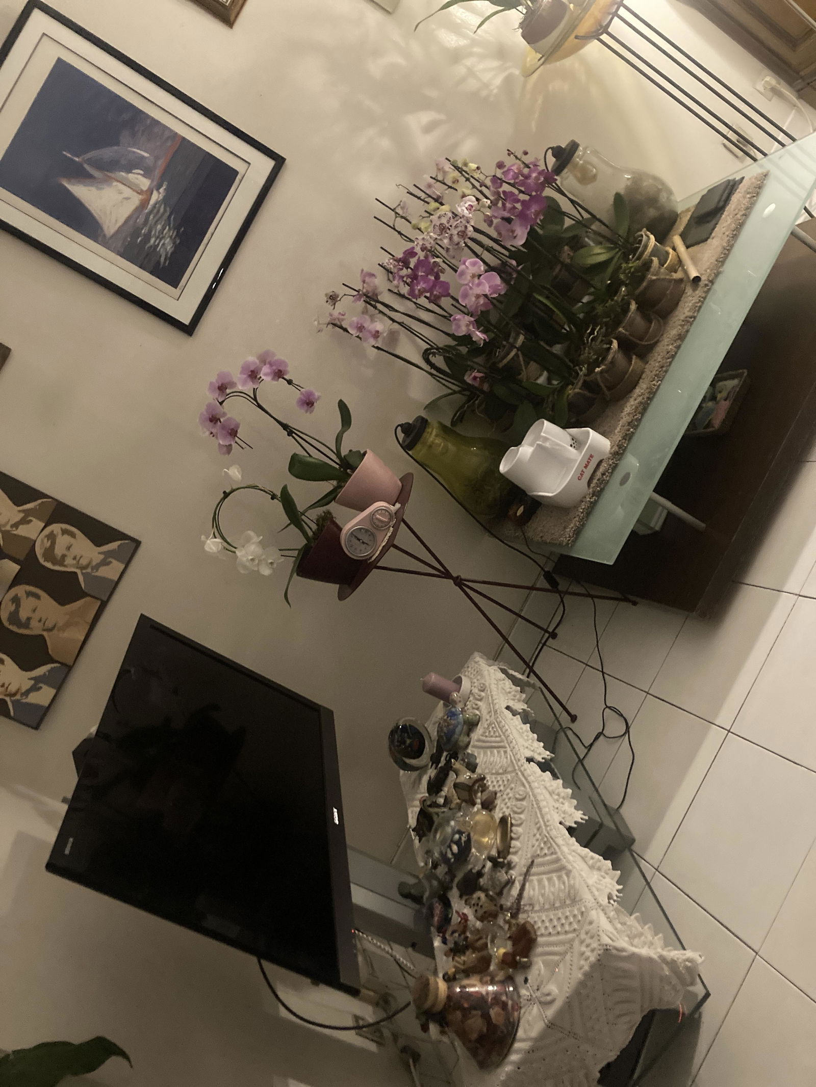 Homestay Créteil 453561