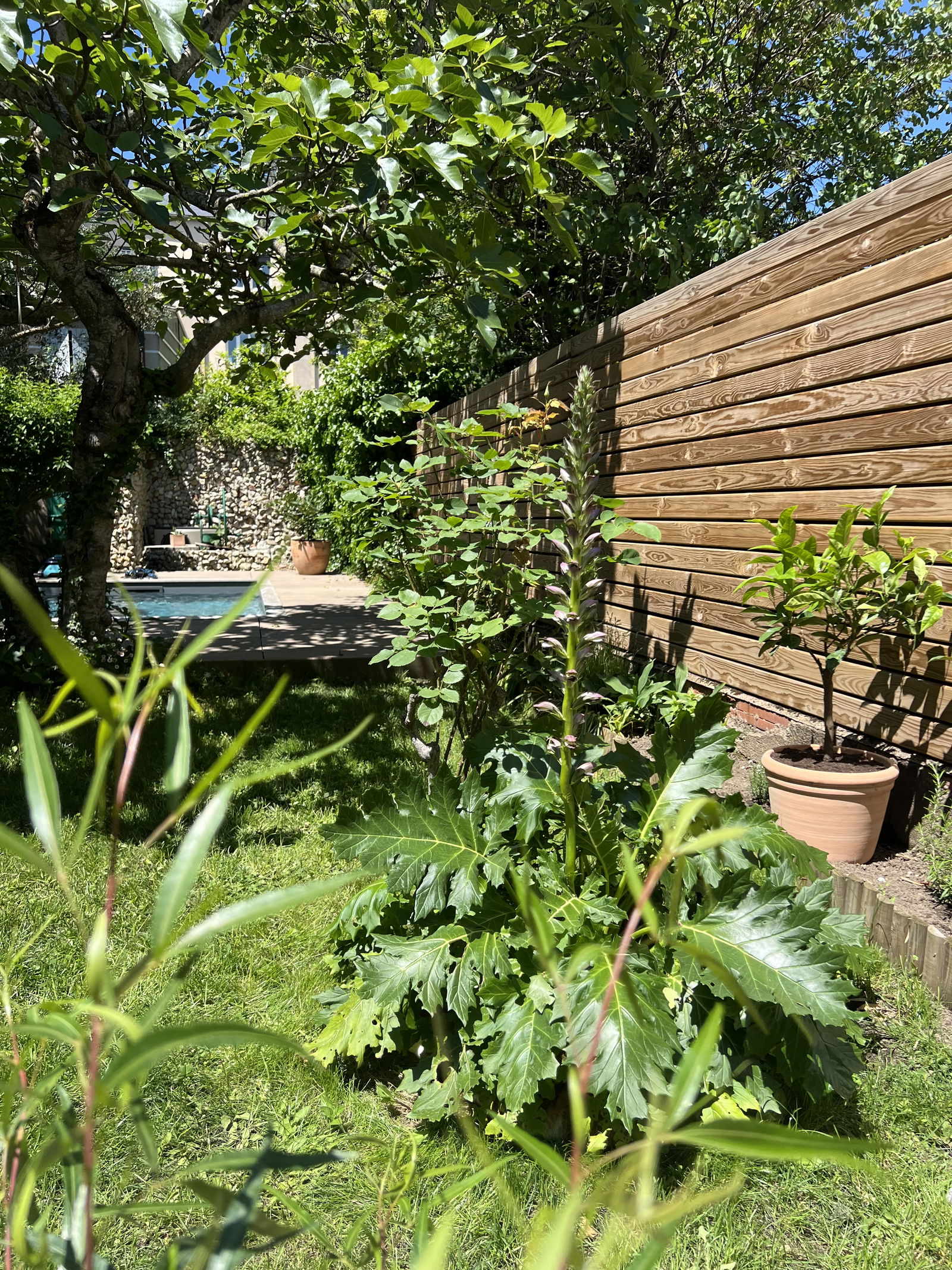 Homestay Castres 465160