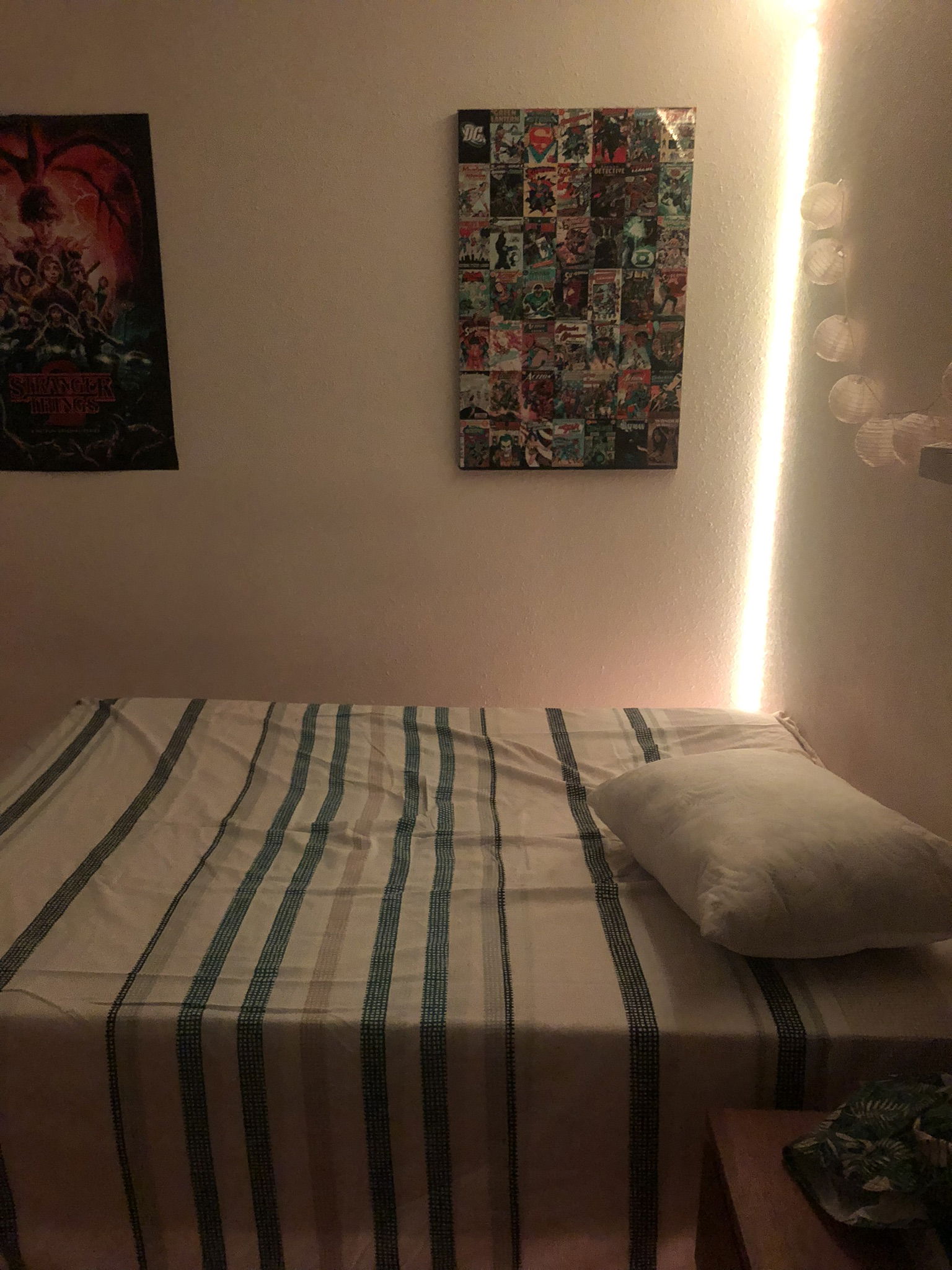 Homestay Limay 492780