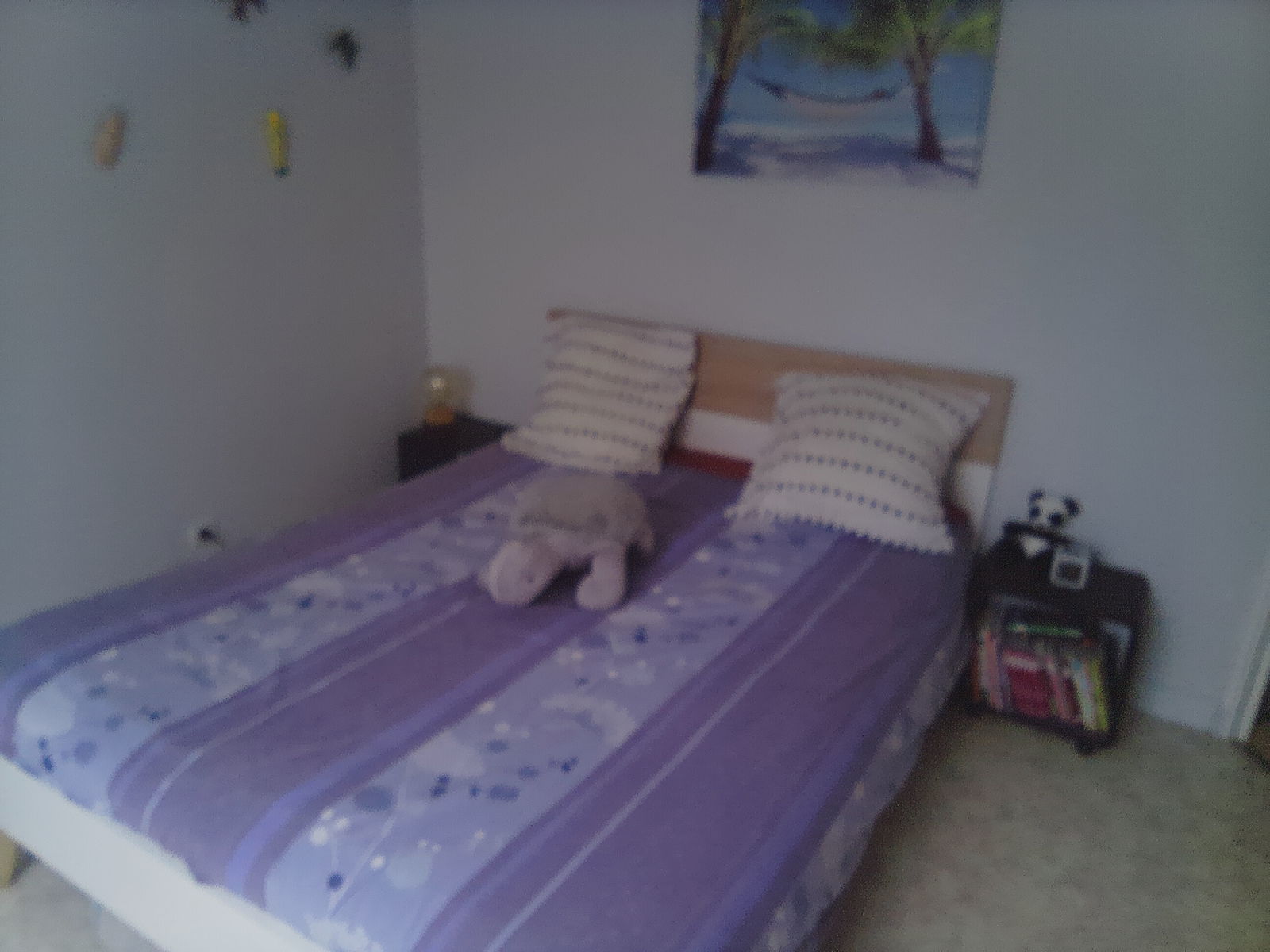 Homestay Dingé 496223