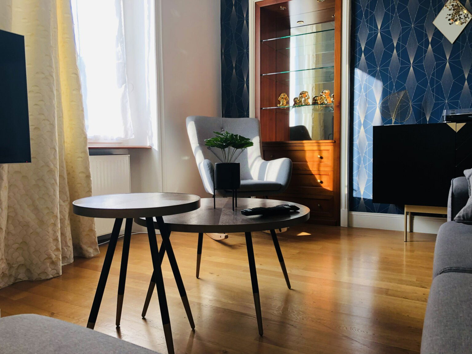 Coliving Angers 501734