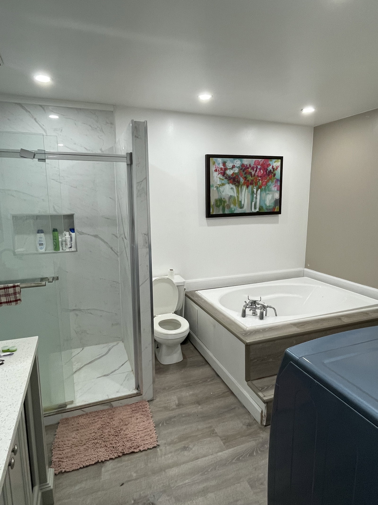 Colocation Montréal 528163