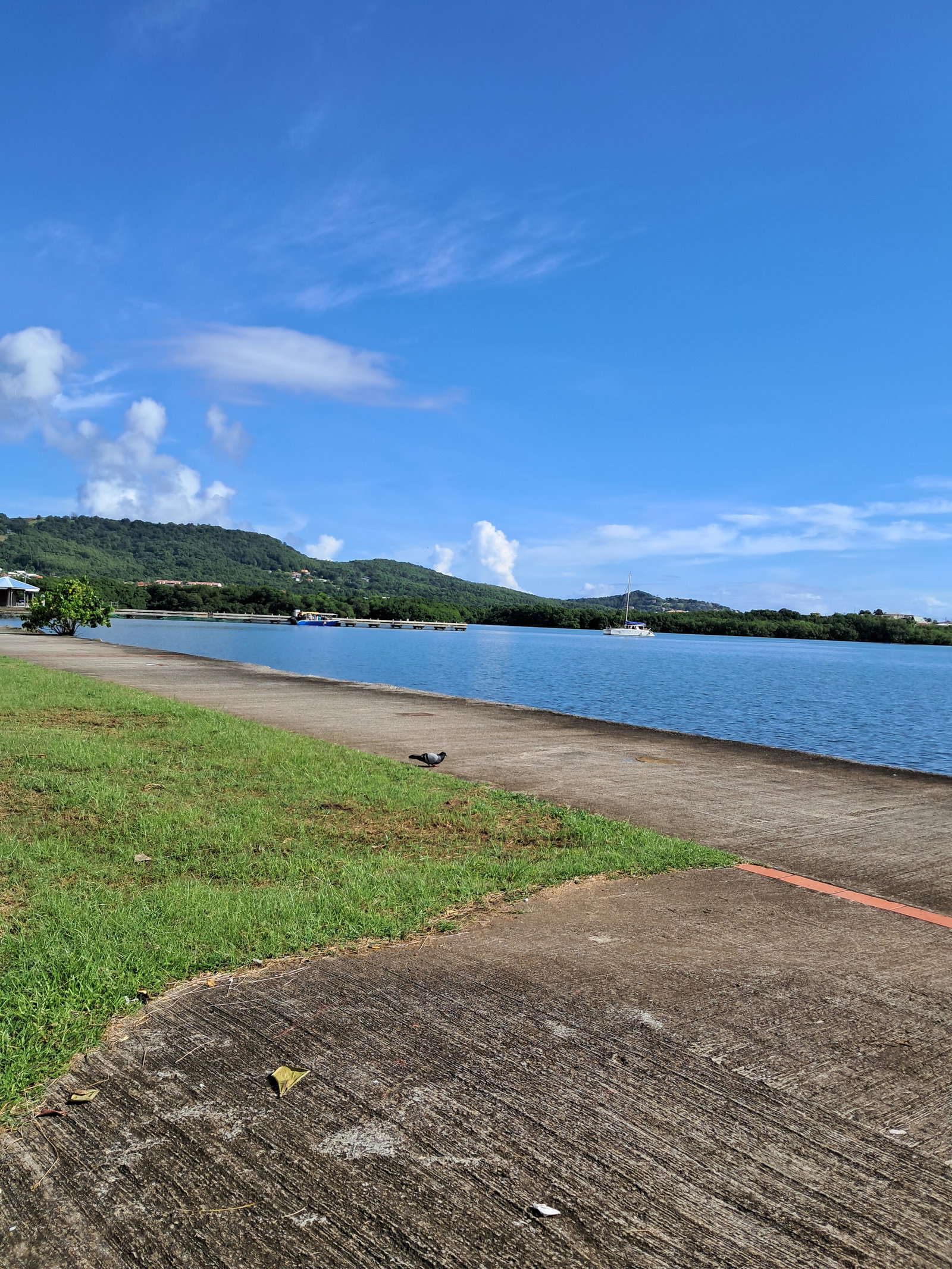 Homestay Le Robert 630517