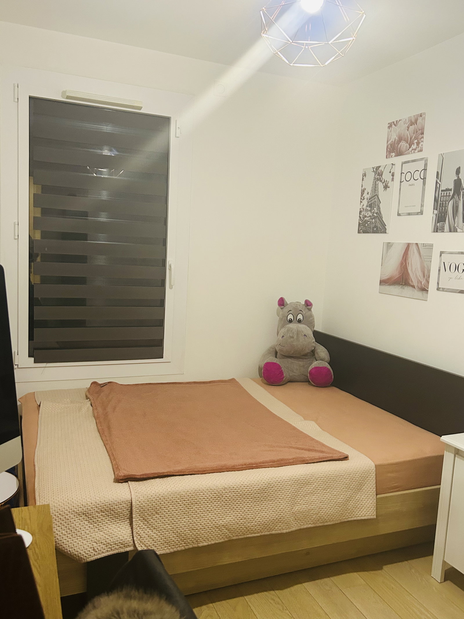 Homestay Collonges-sous-Salève 642562