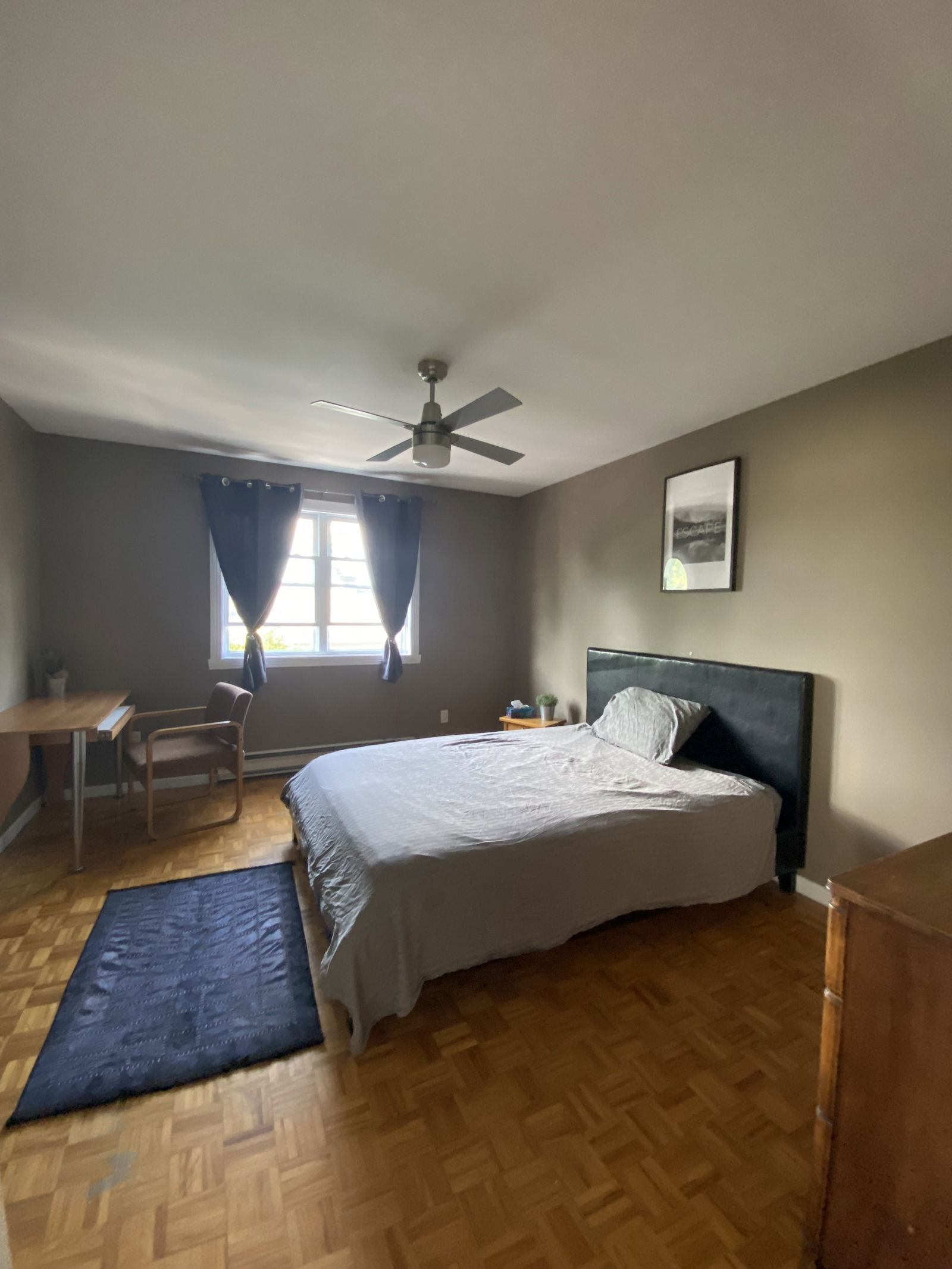 Colocation Longueuil 261462