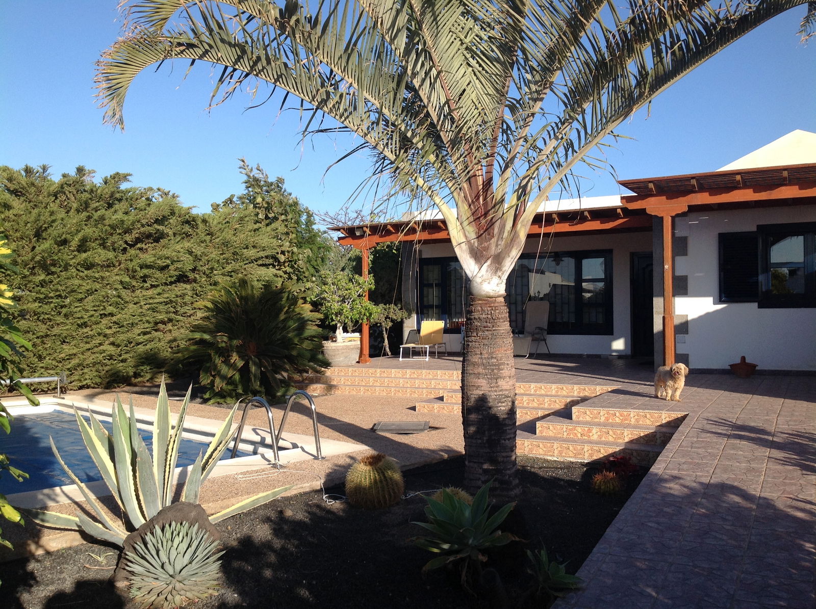 Homestay Vecindario 120048