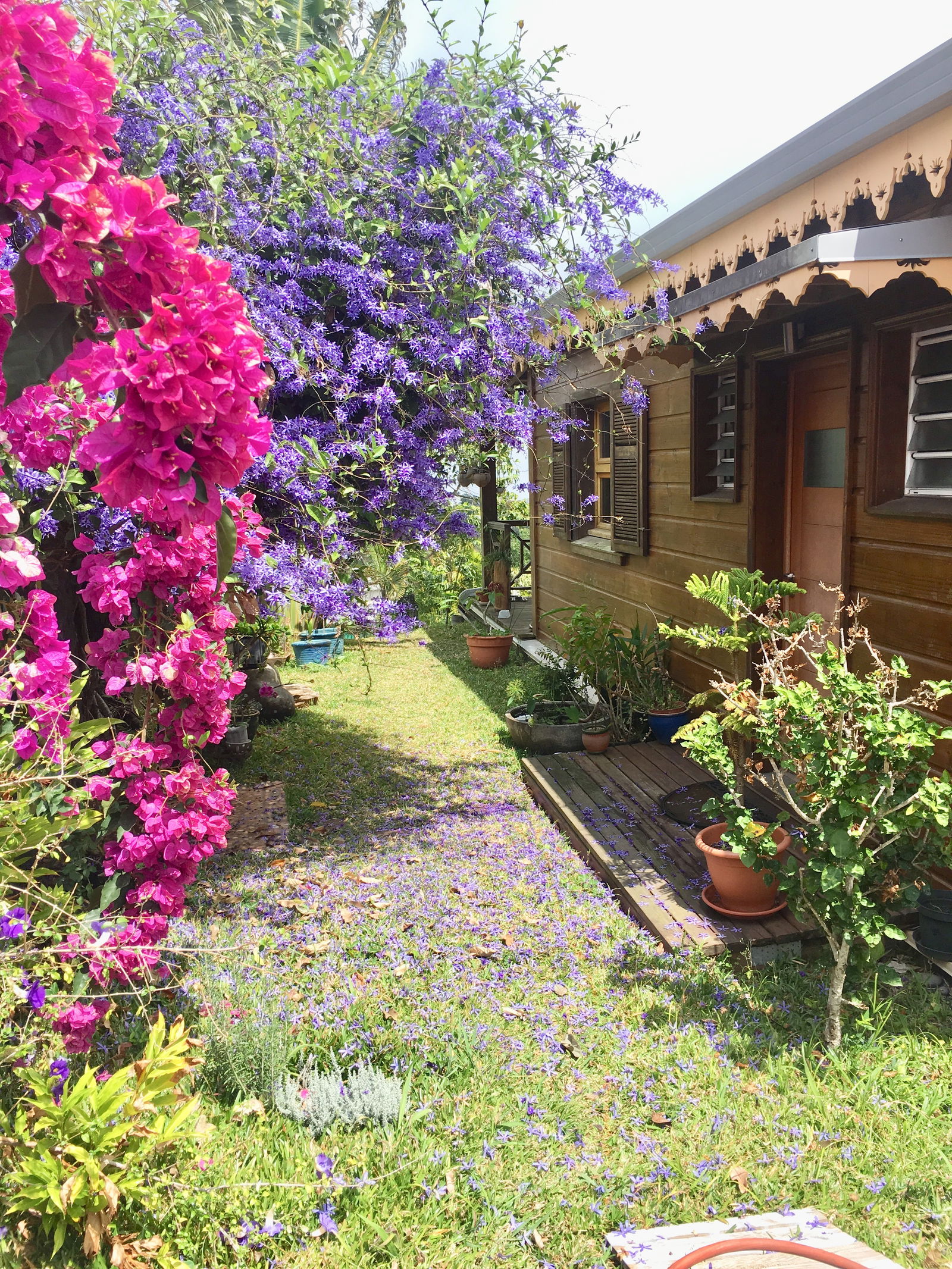 Homestay La Montagne 207445