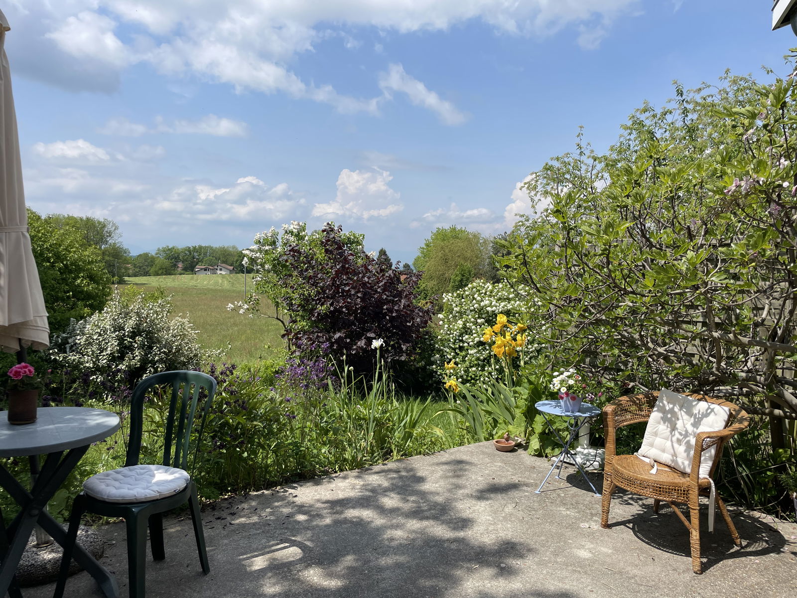 Homestay Cruseilles 433314