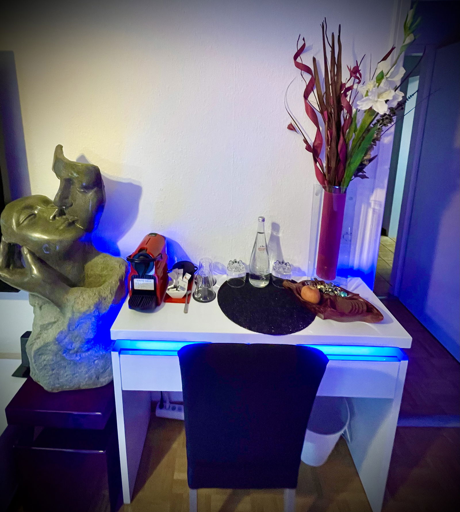 Homestay Genève 411349