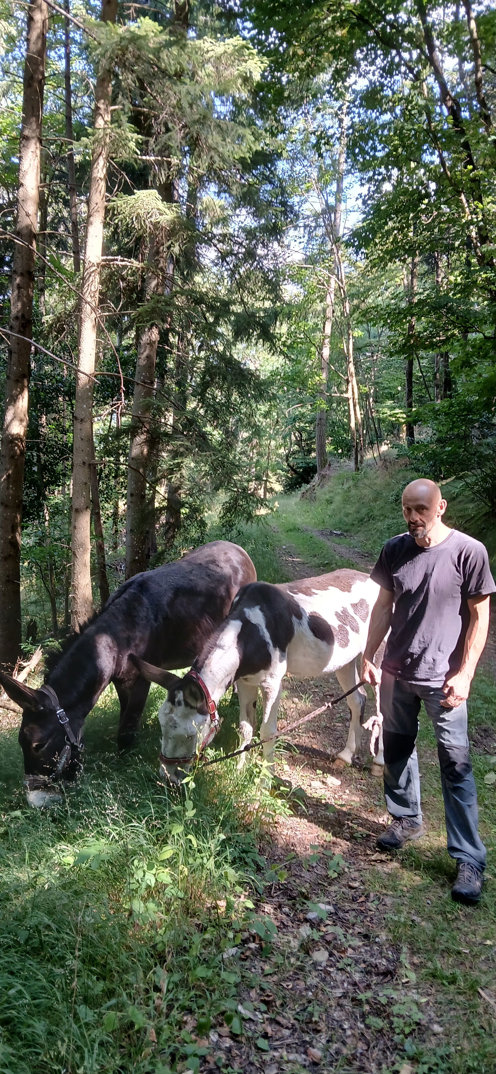 Homestay Breitenbach-Haut-Rhin 473548