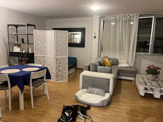 Homestay Genève 479249