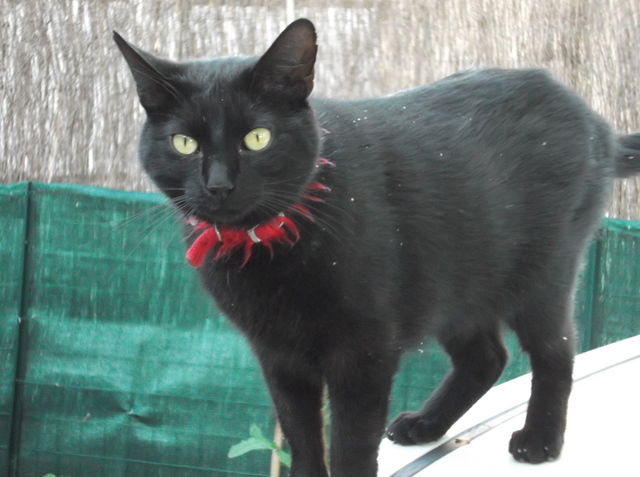 Ganz Haus Livron-sur-Drôme 45732