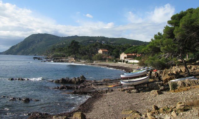 Homestay La Seyne-sur-Mer 82153