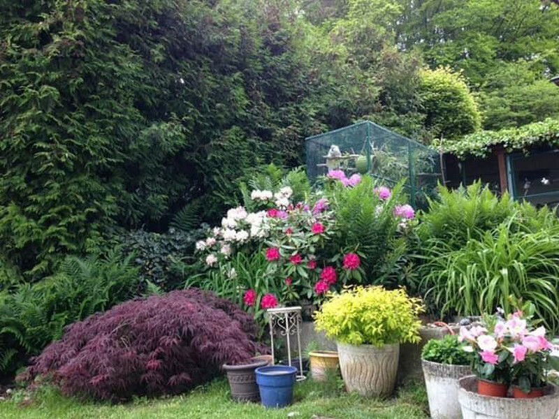 Homestay Lausanne 244656