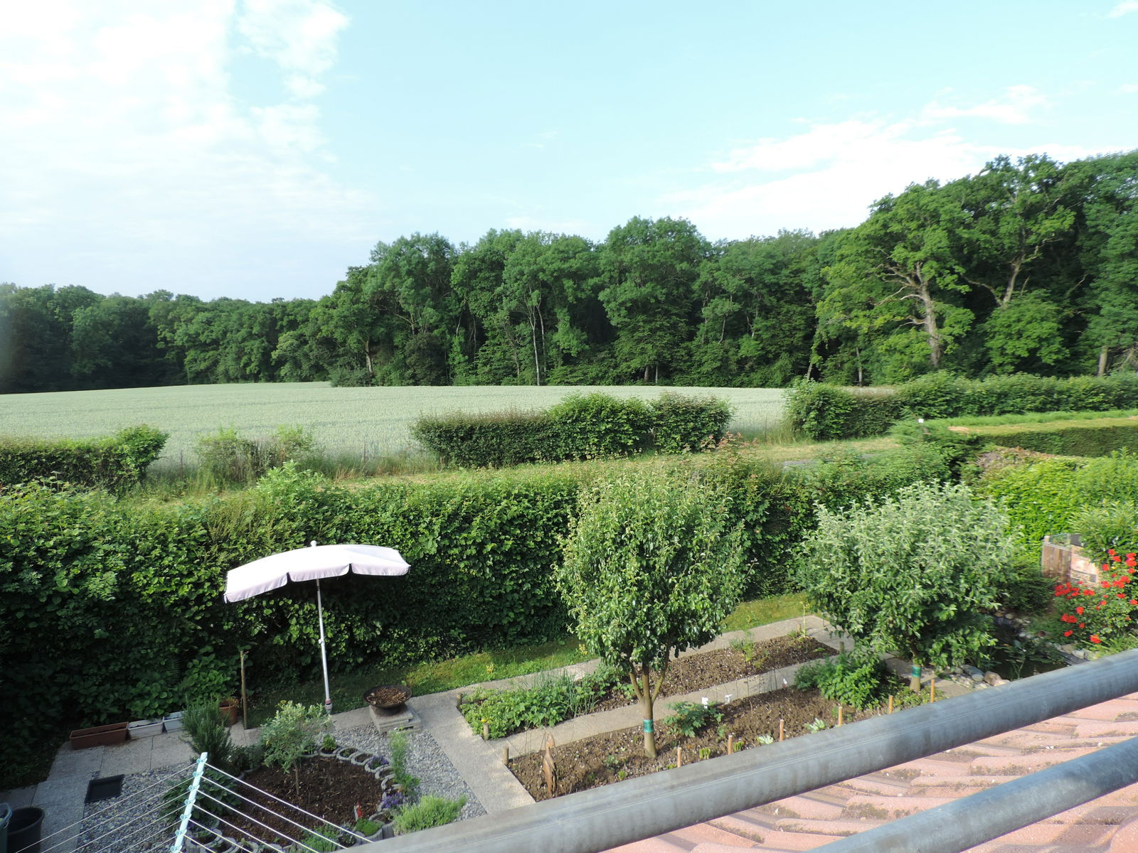 Homestay Versoix 190473