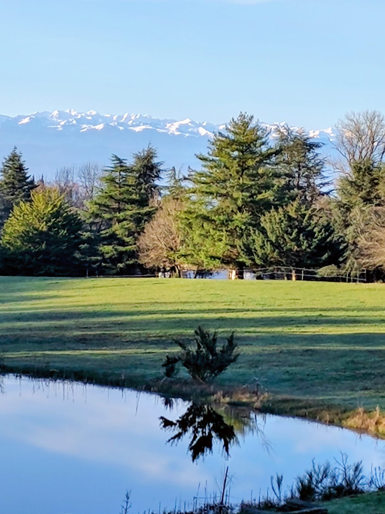 Homestay Laprade 660989