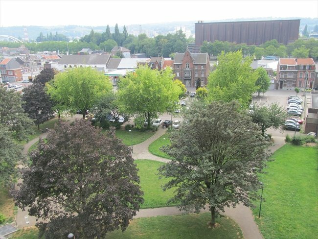 Colocation Herstal 141804