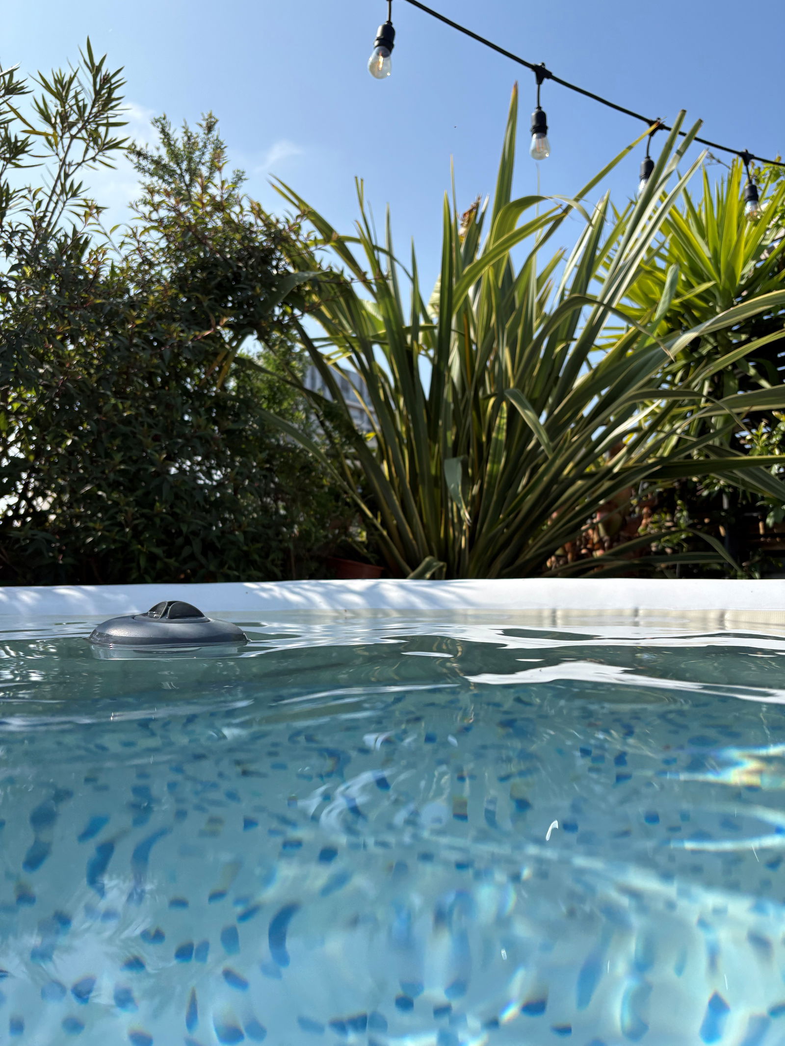 Homestay Bordeaux 638694