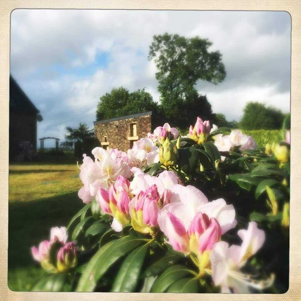 Homestay Campénéac 254029