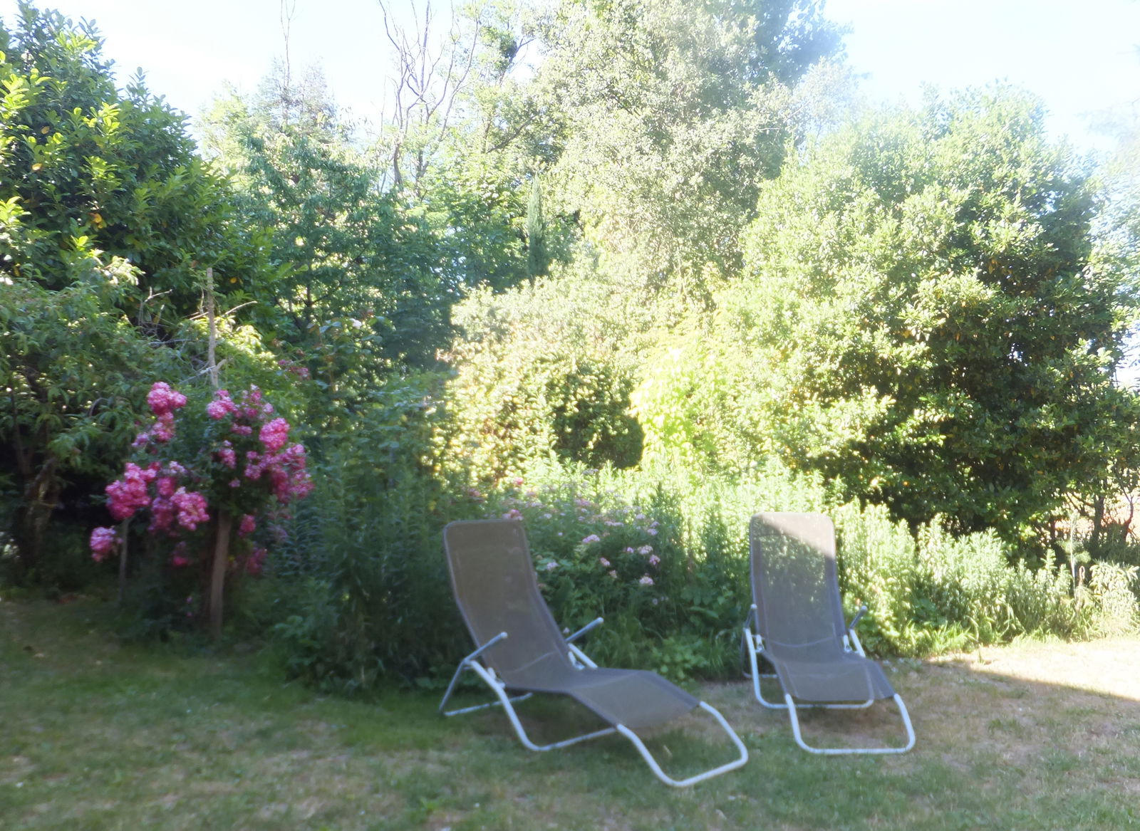 Homestay Chémery-les-Deux 108069